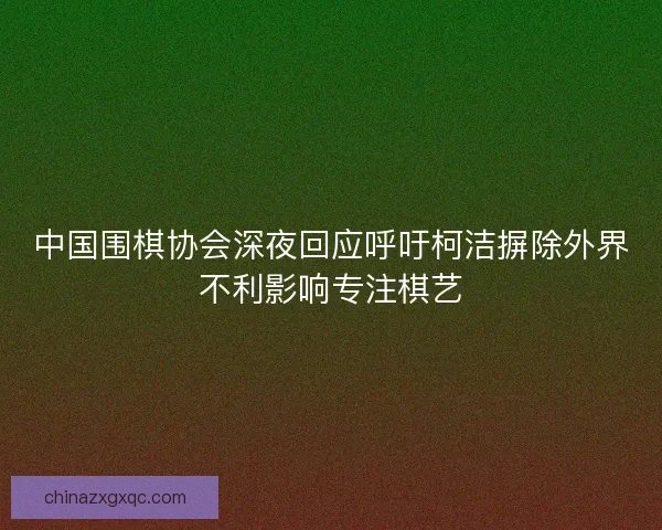 中国围棋协会深夜回应呼吁柯洁摒除外界不利影响专注棋艺